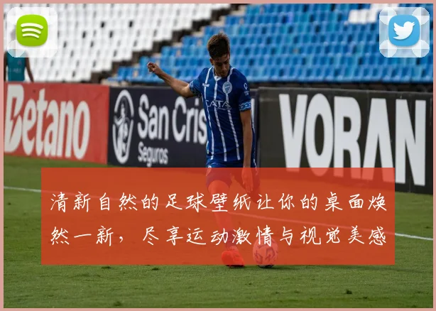 清新自然的足球壁纸让你的桌面焕然一新，尽享运动激情与视觉美感