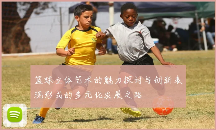 篮球立体艺术的魅力探讨与创新表现形式的多元化发展之路